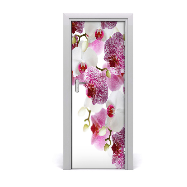 Fototapeta na dveře Orchidej