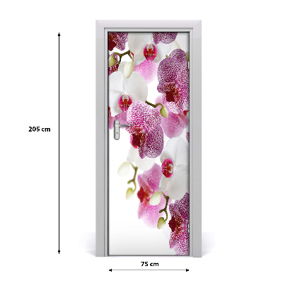 Fototapeta na dveře Orchidej
