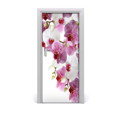 Fototapeta na dveře Orchidej