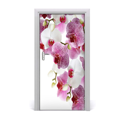 Fototapeta na dveře Orchidej