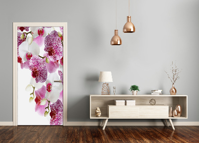 Fototapeta na dveře Orchidej