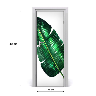 Samolepící fototapeta na dveře listy bananovníku