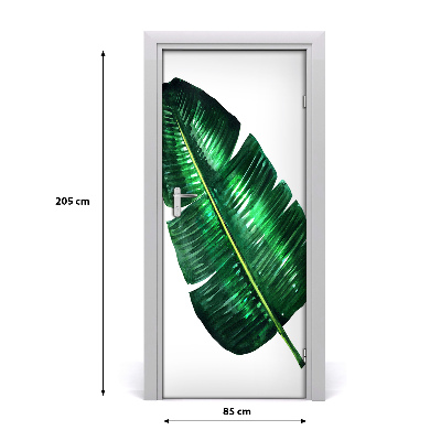 Samolepící fototapeta na dveře listy bananovníku