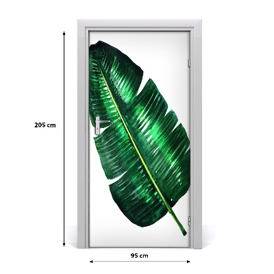 Samolepící fototapeta na dveře listy bananovníku