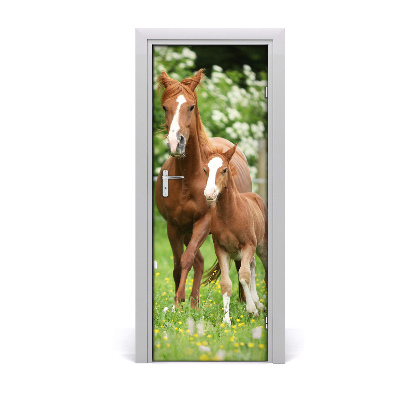 Samolepící fototapeta na dveře Kobyla hřebec