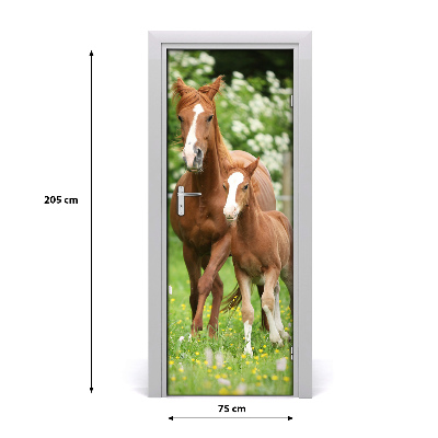 Samolepící fototapeta na dveře Kobyla hřebec