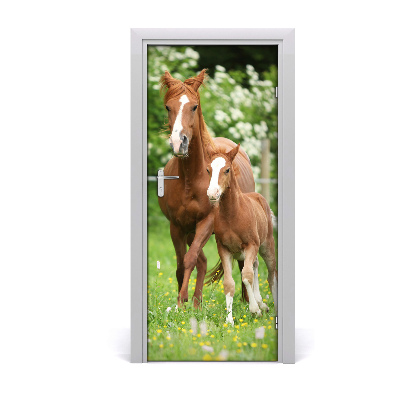 Samolepící fototapeta na dveře Kobyla hřebec