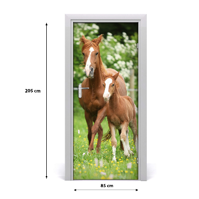 Samolepící fototapeta na dveře Kobyla hřebec