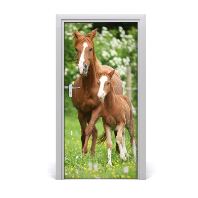 Samolepící fototapeta na dveře Kobyla hřebec
