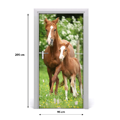 Samolepící fototapeta na dveře Kobyla hřebec