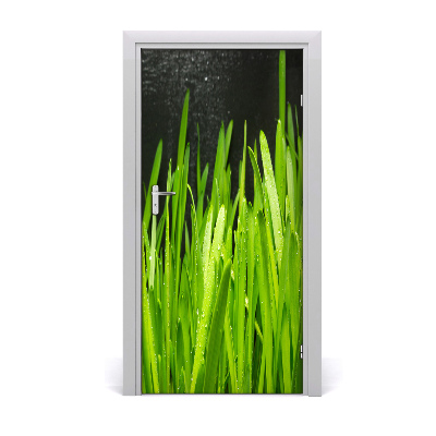 Fototapeta na dveře Tráva