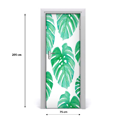 Samolepící fototapeta na dveře Monstera