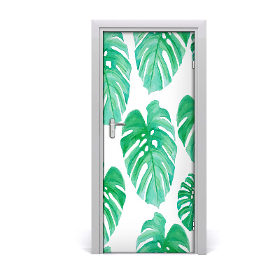 Samolepící fototapeta na dveře Monstera
