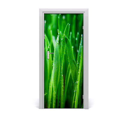 Fototapeta na dveře Tráva