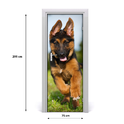 Samolepící fototapeta na dveře Německý ovčák