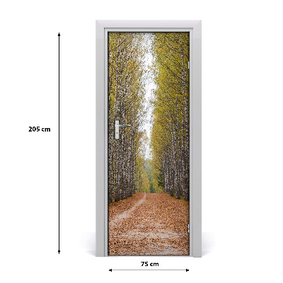 Fototapeta na dveře samolepící břízový les