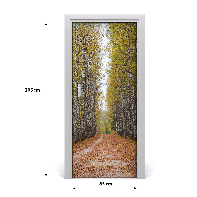 Fototapeta na dveře samolepící břízový les