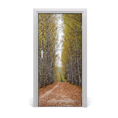 Fototapeta na dveře samolepící břízový les