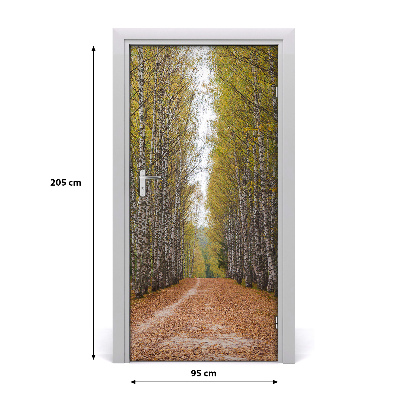 Fototapeta na dveře samolepící břízový les