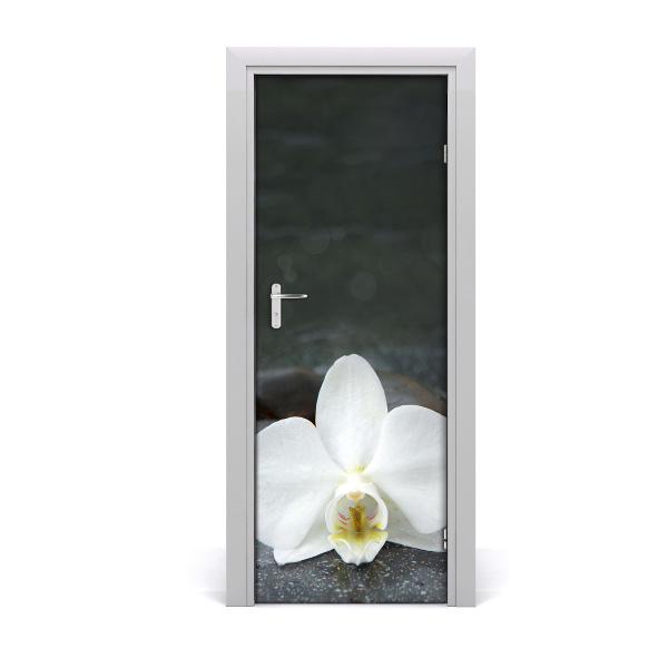 Fototapeta na dveře Orchidej
