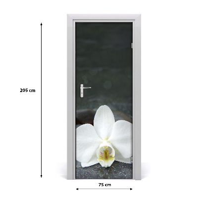 Fototapeta na dveře Orchidej
