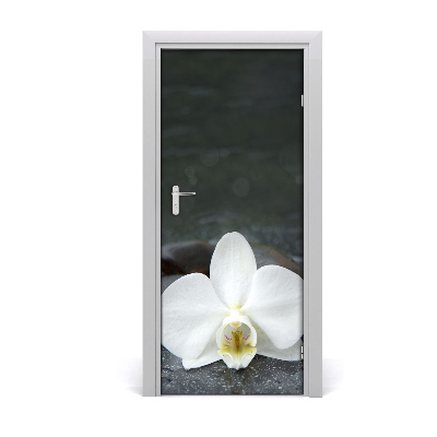 Fototapeta na dveře Orchidej