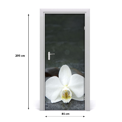 Fototapeta na dveře Orchidej
