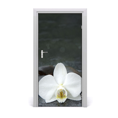 Fototapeta na dveře Orchidej