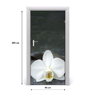 Fototapeta na dveře Orchidej