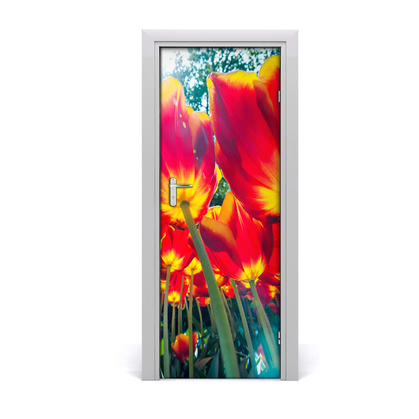 Fototapeta na dveře Tulipány
