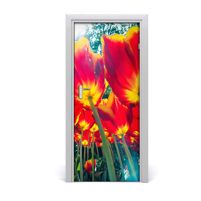 Fototapeta na dveře Tulipány