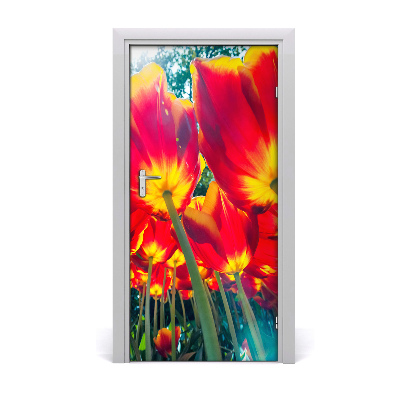 Fototapeta na dveře Tulipány