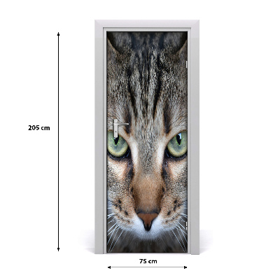 Samolepící fototapeta na dveře Oči kočky