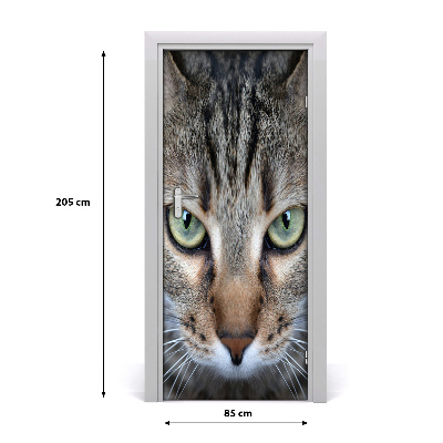 Samolepící fototapeta na dveře Oči kočky