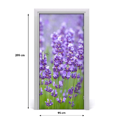 Fototapeta na dveře Levandule pole