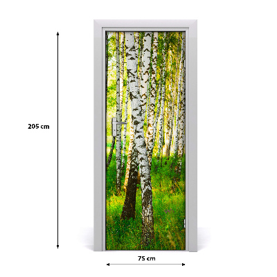 Fototapeta na dveře samolepící břízový les