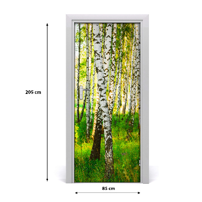 Fototapeta na dveře samolepící břízový les