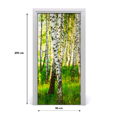 Fototapeta na dveře samolepící břízový les