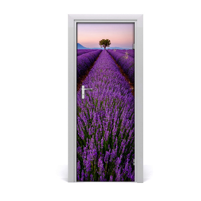 Fototapeta na dveře samolepící pole levandule