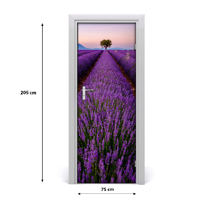 Fototapeta na dveře samolepící pole levandule
