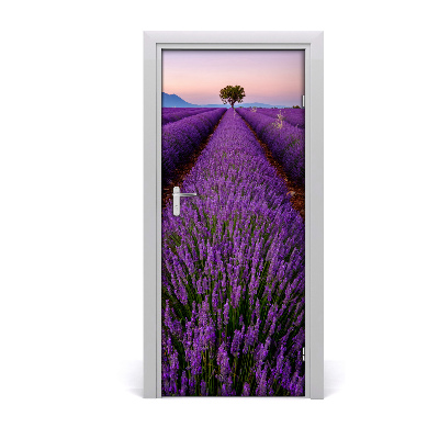 Fototapeta na dveře samolepící pole levandule