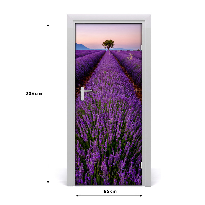 Fototapeta na dveře samolepící pole levandule