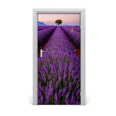 Fototapeta na dveře samolepící pole levandule