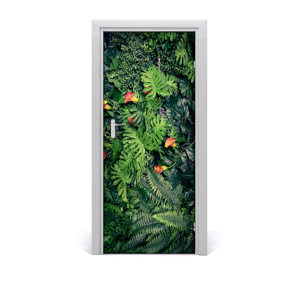 Fototapeta na dveře Tropické rostliny