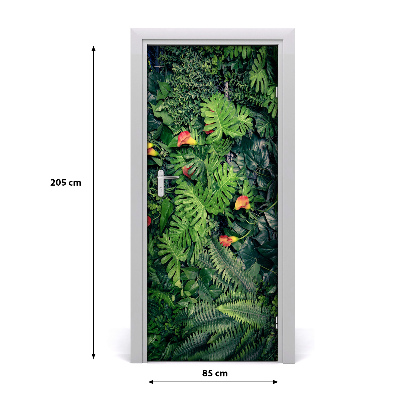 Fototapeta na dveře Tropické rostliny