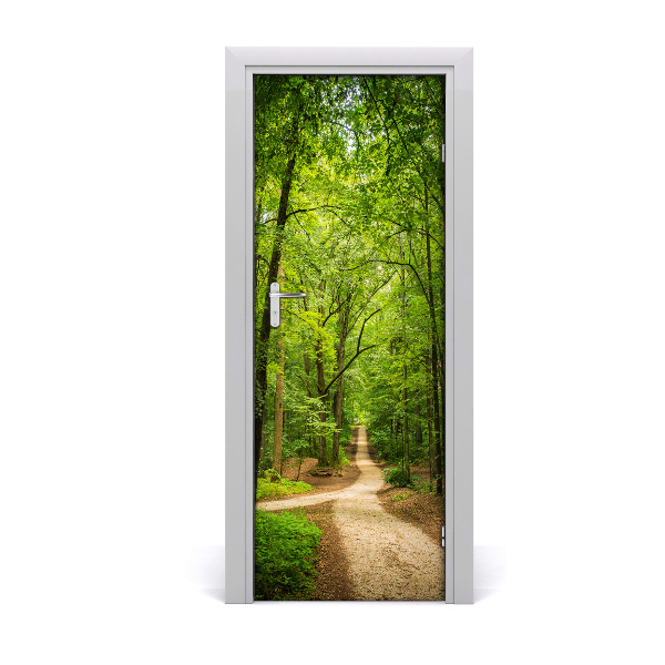Fototapeta na dveře samolepící stezka v lese