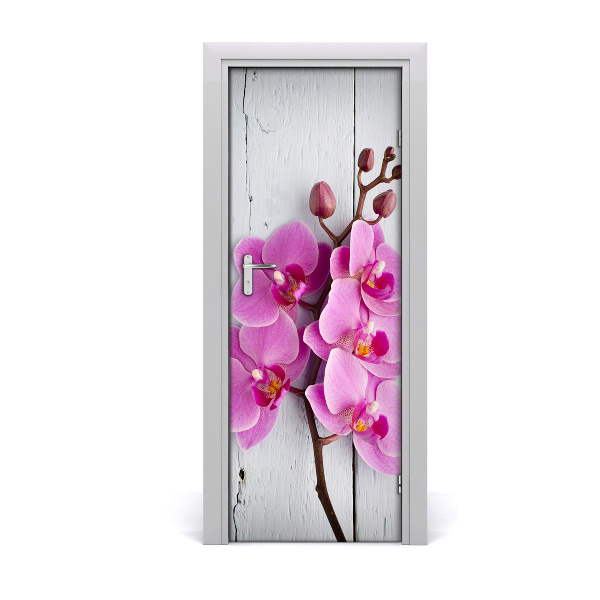 Fototapeta na dveře Růžová orchidej