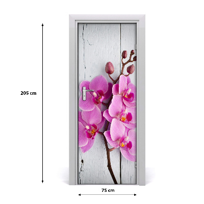 Fototapeta na dveře Růžová orchidej