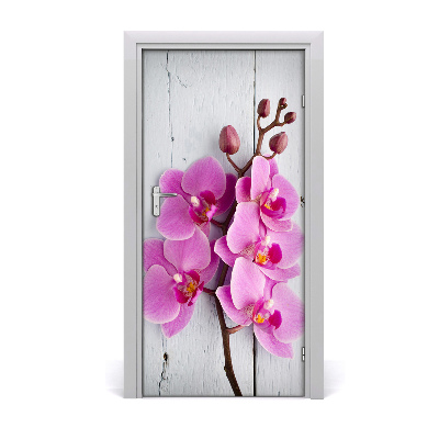 Fototapeta na dveře Růžová orchidej