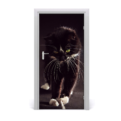 Samolepící fototapeta na dveře Černá kočka
